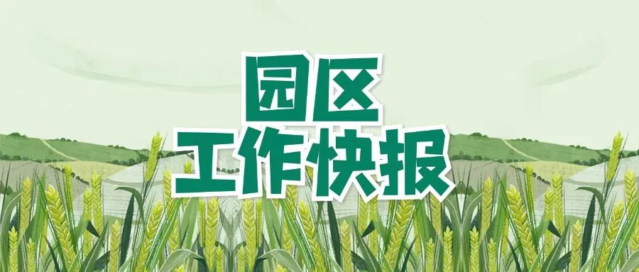 園區工作快報「3期」為什么...