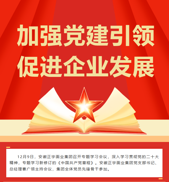 「加強黨建引領 促進企業發...